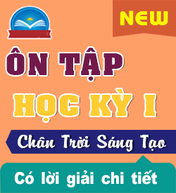 Ôn tập Học kỳ 1 (CTST_T11)